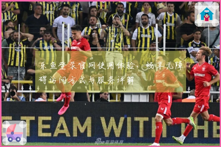 乐鱼登录官网使用体验，畅享无障碍访问方式与服务详解