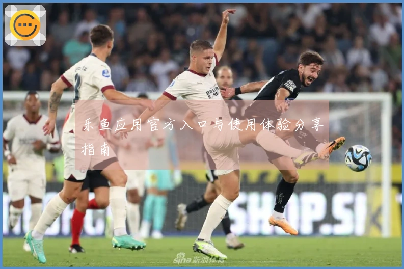 乐鱼应用官方入口与使用体验分享指南