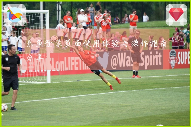 乐鱼登录页面使用体验与操作指南分享