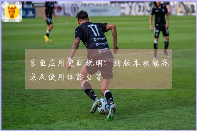 乐鱼应用更新说明：新版本功能亮点及使用体验分享