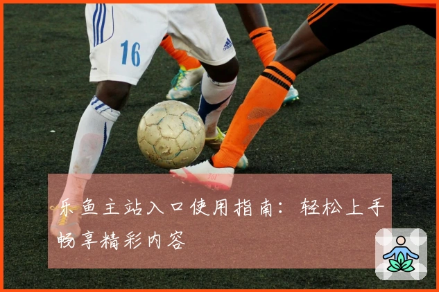 乐鱼主站入口使用指南：轻松上手畅享精彩内容