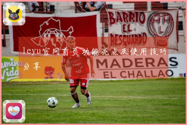 leyu官网首页功能亮点及使用技巧分享