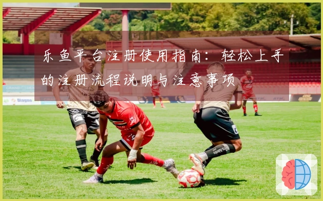 乐鱼平台注册使用指南：轻松上手的注册流程说明与注意事项